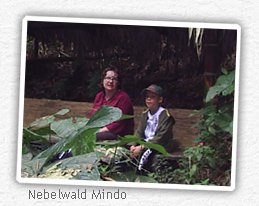 nebelwald-mindo-ecuador