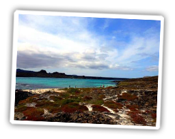 Reisebericht Solecu Tours: Galapagos Familienurlaub