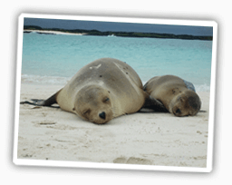 Reisebericht Galapagos - San Cristobal Insel