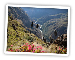 Colca Canon Peru Reiseberichte