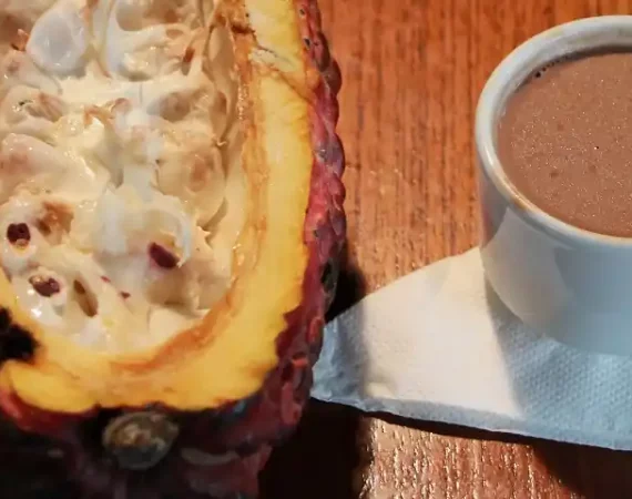 Kakaoschote neben einer Tasse Trinkschokolade