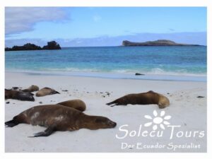 Urlaub auf Galapagos - Solecu Tours