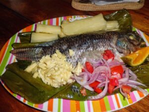 Traditionelles Gericht im Oriente: Maite de tilapia, Ecuador