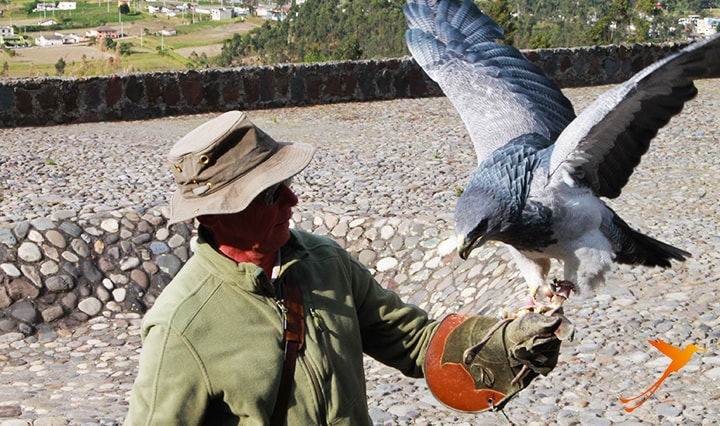 Parque el Condor - Otavalo