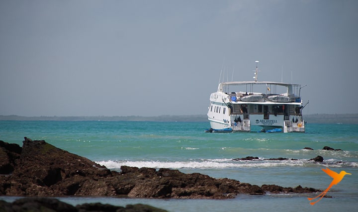 Yacht Archipel I Kreuzfahrt Galapagos-Inseln