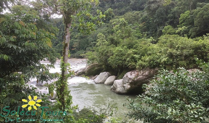La Laguna Azul bei Tena ist perfekt zum Baden mitten im Regenwald.