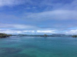 Meerblick auf der Insel Isabela