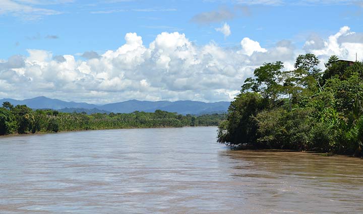 Der Amazonas Regenwald in Peru eignen sich hervorragend für spannende Flusskreuzfahrten