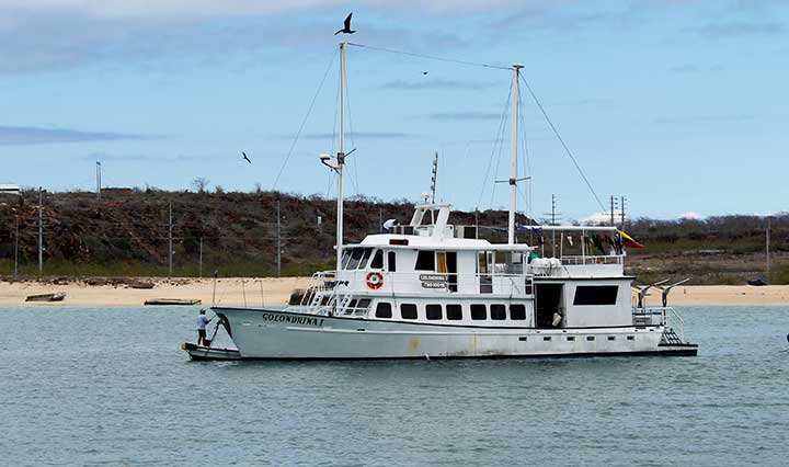 Golondrina Galapagos Yacht