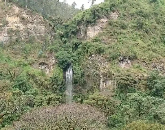 Landschaft in der Umgebung der Wasserfälle von Rumibosque