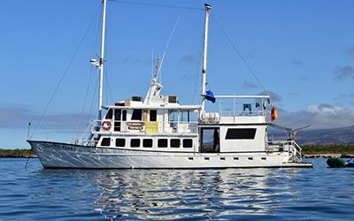 Kreuzfahrt auf der Galapagos Yacht Golondrina