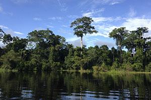 Amazonasgebiet Kolumbien