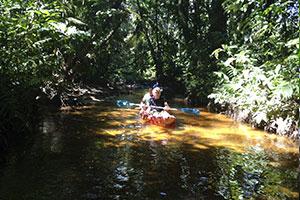 Ruderboot auf Fluss im kolumbianischen Regenwald