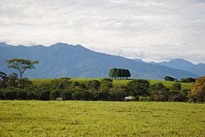 Los Llanos Region Kolumbien