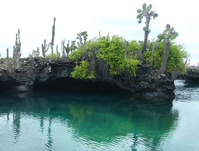 Punta Moreno auf der Galapagos Insel Isabela