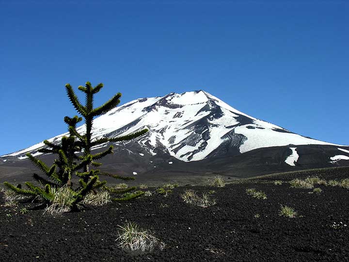 Vulkan Lonquimay Chile Araucania Region