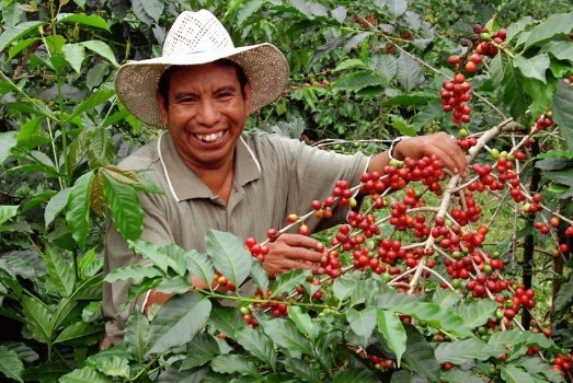Kaffeebauer in Kolumbien