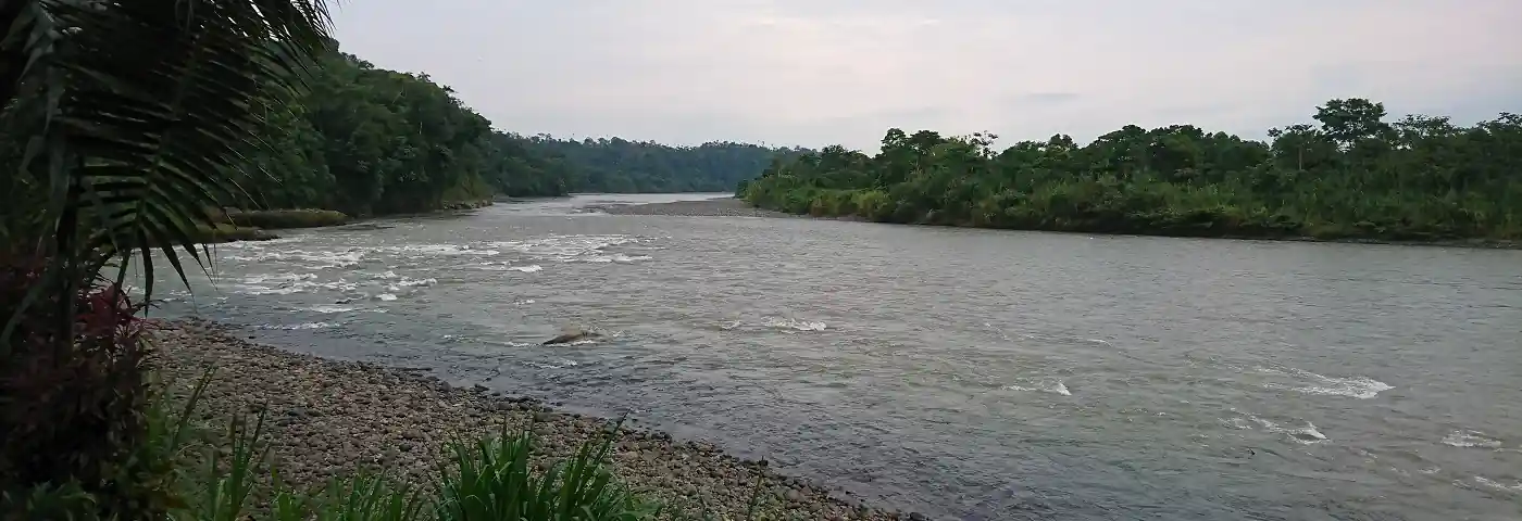 Fluss im Regenwald in Ecuador