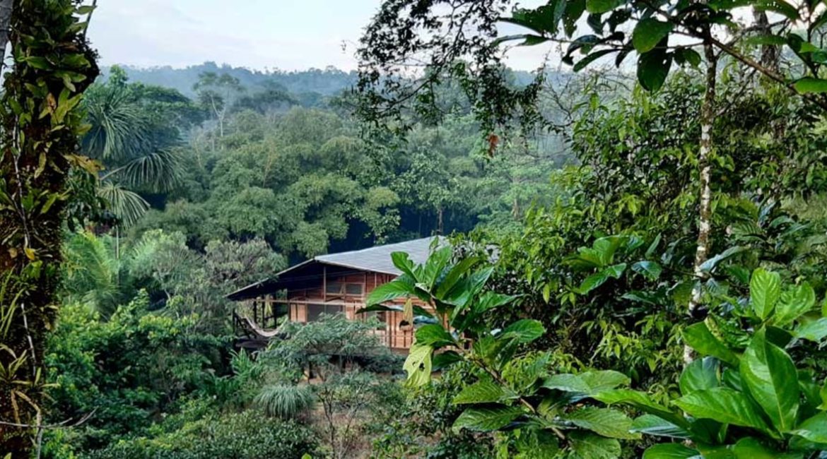Hakuna Matata Lodge Ecuador
