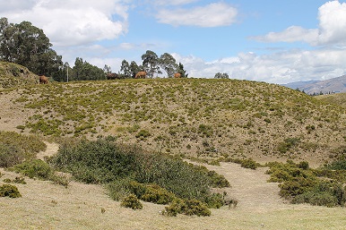 Hügel in der archäologischen Stätte Cochasqui