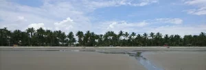 Palmenstrand auf der Insel Portete