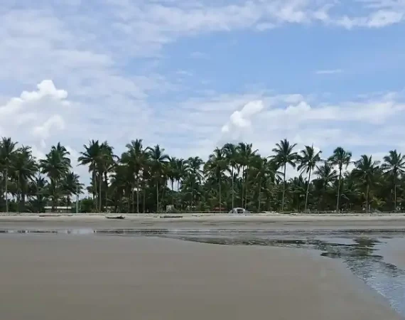 Palmenstrand auf der Insel Portete