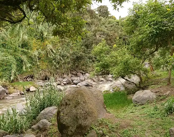 Fluss im Parque Algarrobos