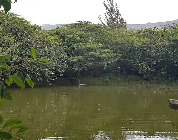 künstliche Lagune der Hacienda Verde