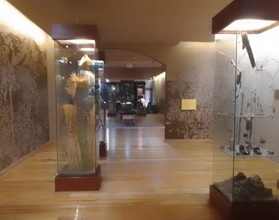 Vitrinen im Stadtmuseum von Quito