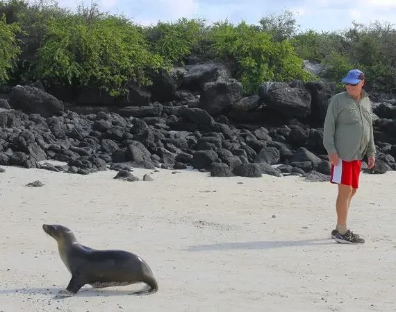 Mann und Seelöwe am Strand auf Galapagos