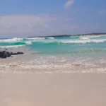 Galapagos auf eigene Faust – Erlebnisse auf der Insel Santa Cruz