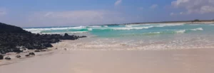 Tortuga Bay auf Santa Cruz