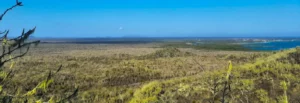 Landschaft der Insel Isabela