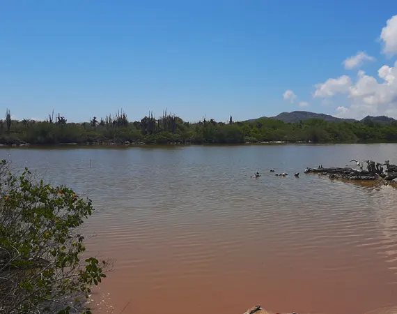 Lagune nahe der des Weges zur Mauer der Tränen auf Isabela