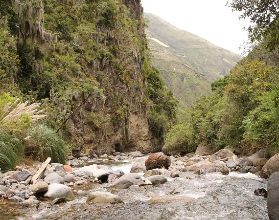 Fluss im Norden Ecuadors in der Choco Andino Region