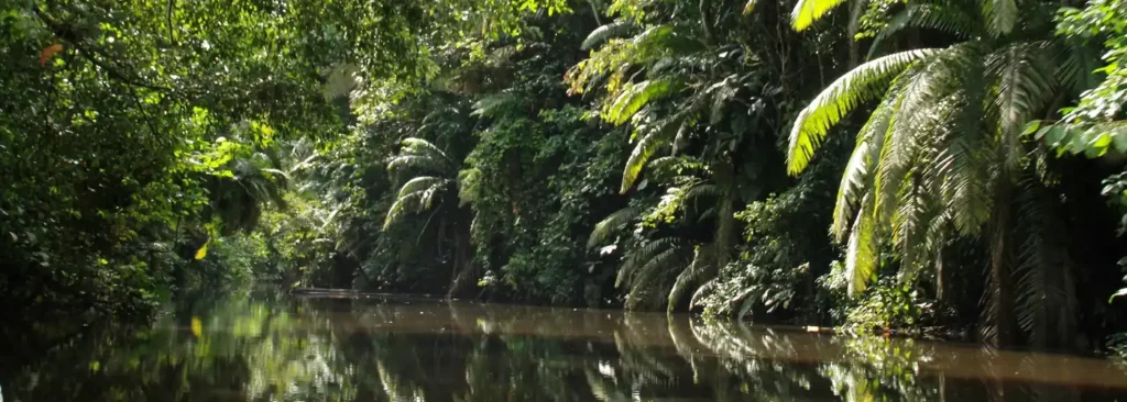 Ecuador – Ein Sieg für den Naturschutz