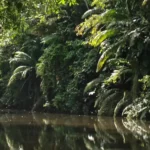 Ecuador – Ein Sieg für den Naturschutz