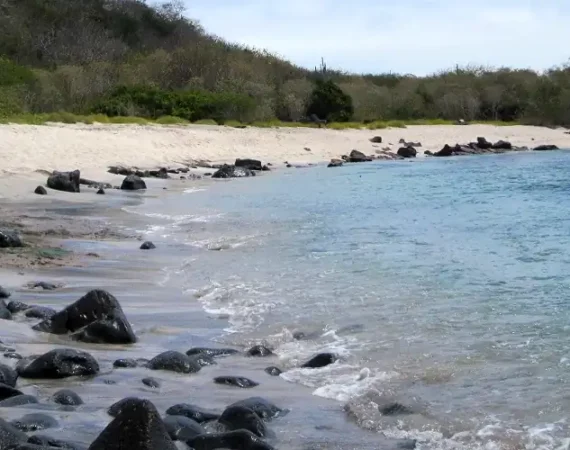 Strand auf San Cristobal mit einem Pelikan