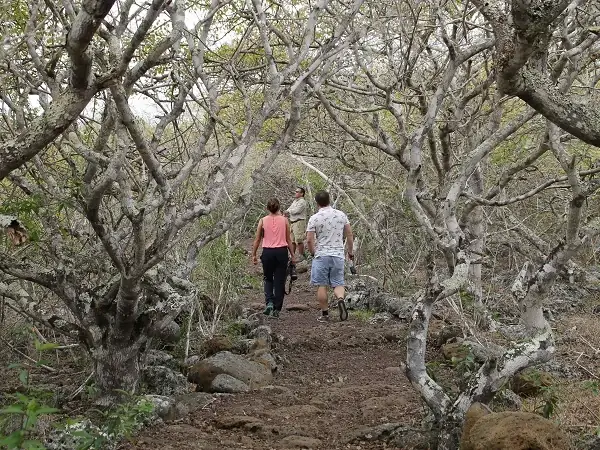 Pfad in der Galapaguera mit Besuchern