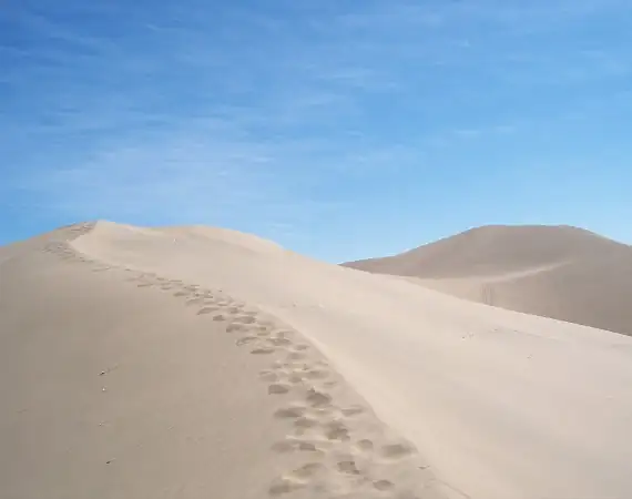 Spuren in der Wüste bei Huacachina