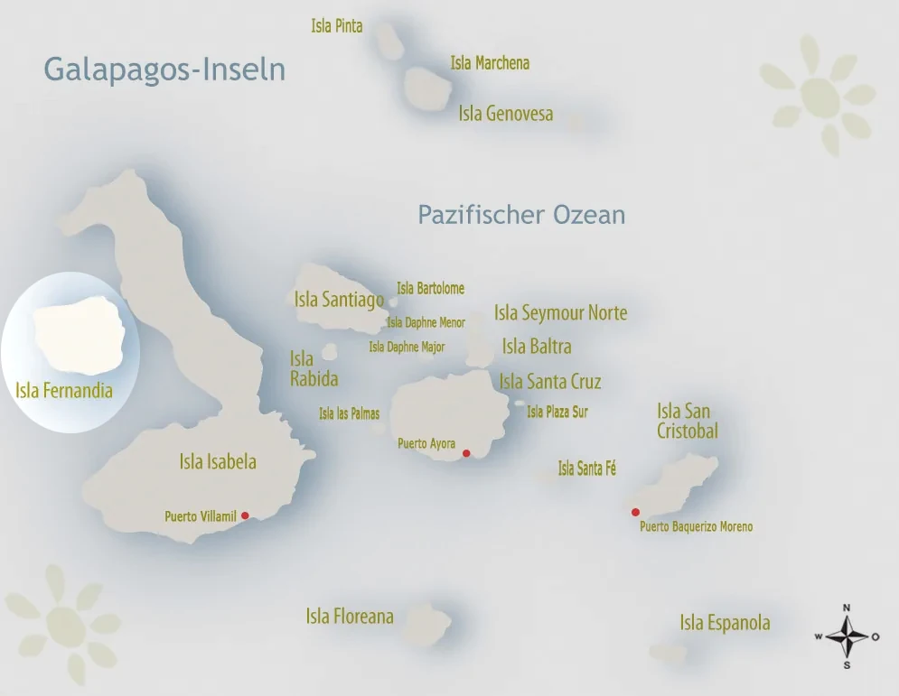 Insel Fernandina - Galapagos Inseln