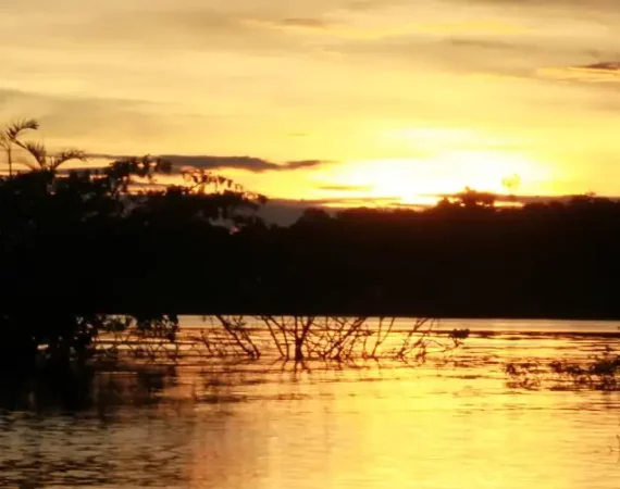 Sonnenuntergang über der Lagune in Cuyabeno