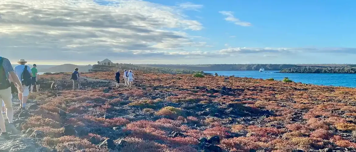 beeindruckende Landschaft der Insel South Plaza