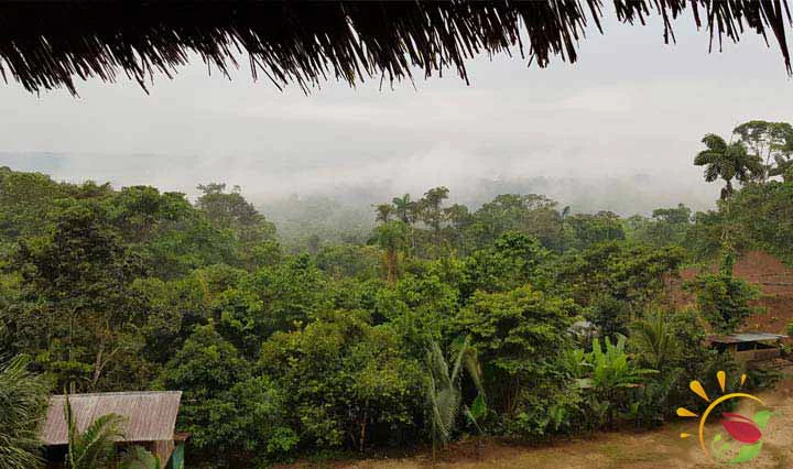 Aussicht von den Hütten beim Mirador Indichuris in Puyo