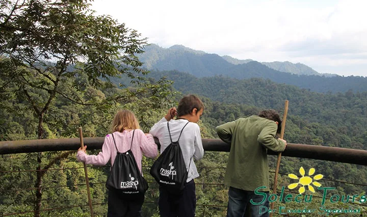 Aussichtspunkt im Nebelwald von Ecuador