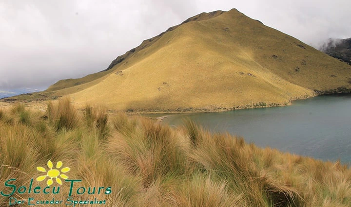 Die Hügel an der Laguna Grande leuchten in der Sonne goldgelb.