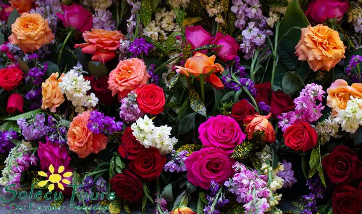 Blumen auf der Fiesta de las Flores y las Frutas