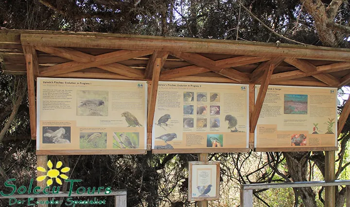 Informationstafel im Charles Darwin Forschungszentrum