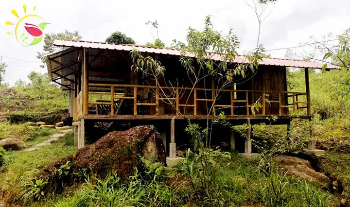Cabanas Muyu Semilla de Selva
