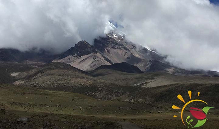Der Chimborazo im Nebelschleier
